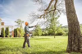 Best Aeration Services  in Carver, MN